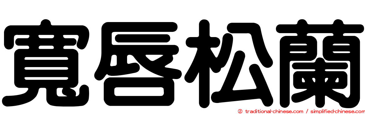 寬唇松蘭