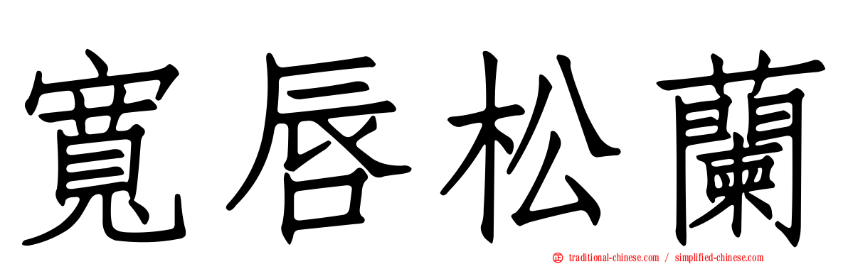 寬唇松蘭