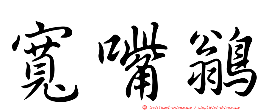 寬嘴鶲