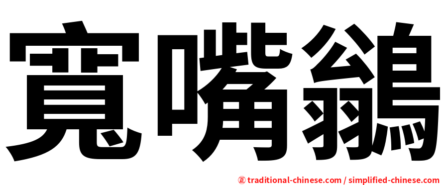 寬嘴鶲
