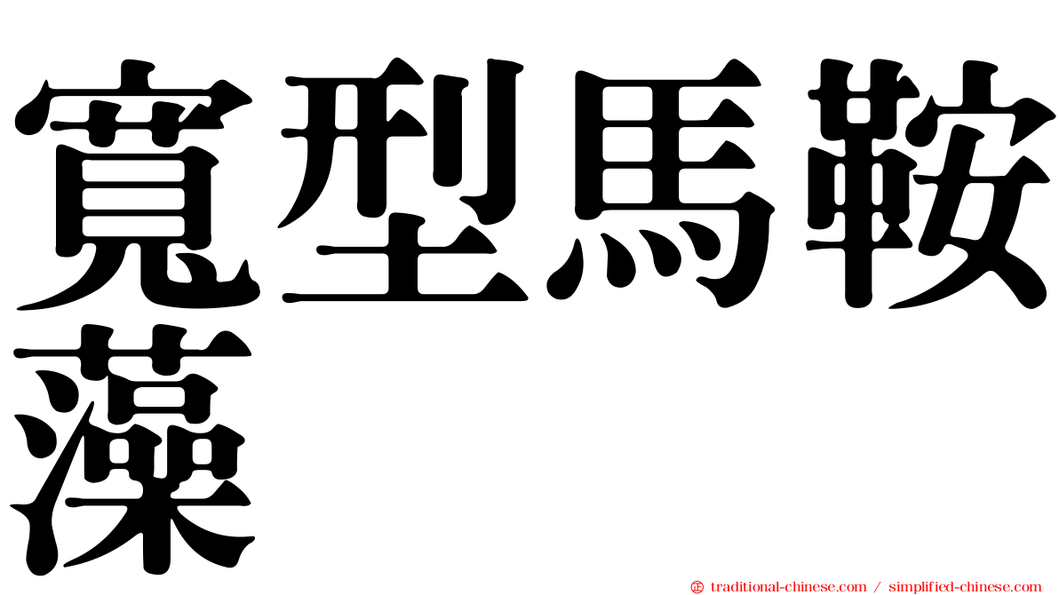寬型馬鞍藻