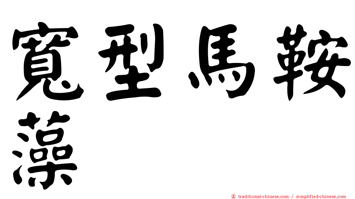寬型馬鞍藻