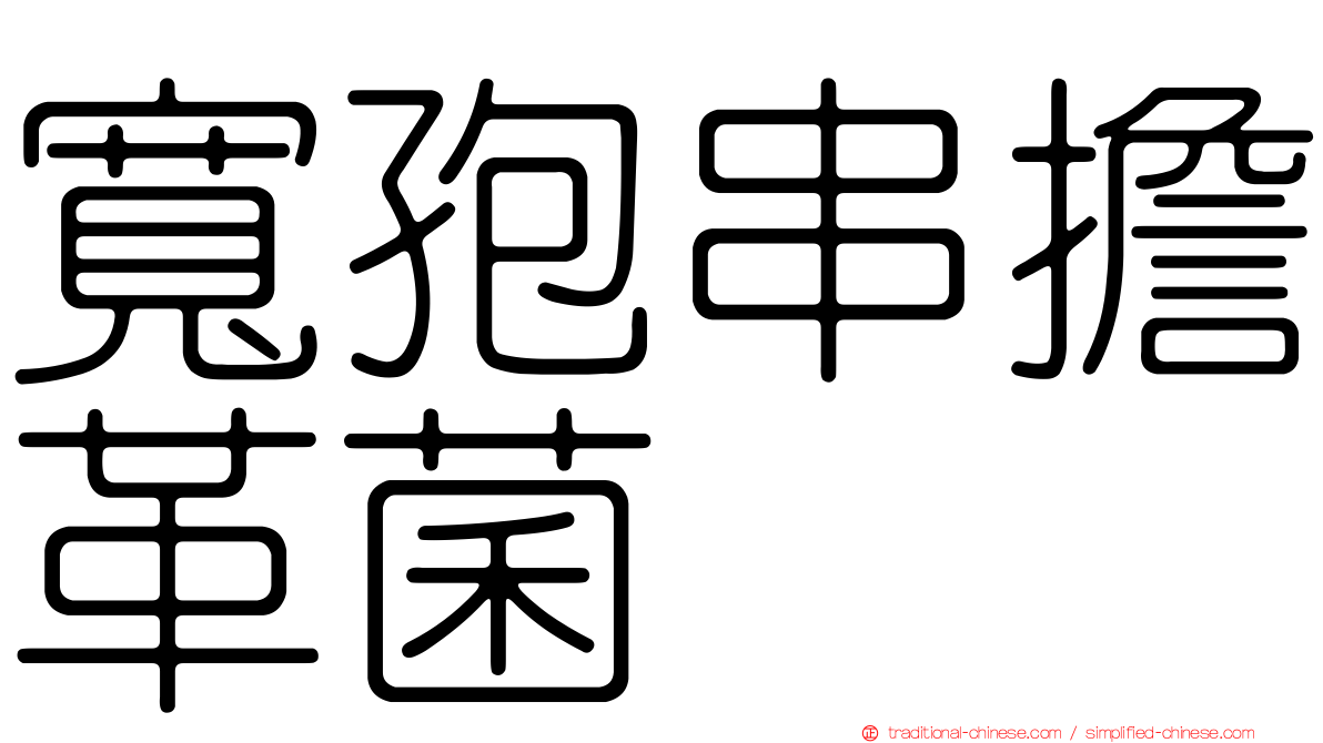 寬孢串擔革菌