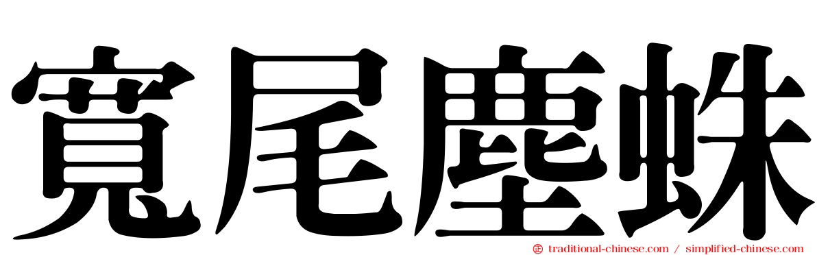 寬尾塵蛛