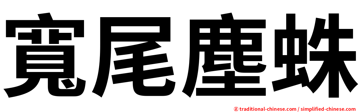 寬尾塵蛛
