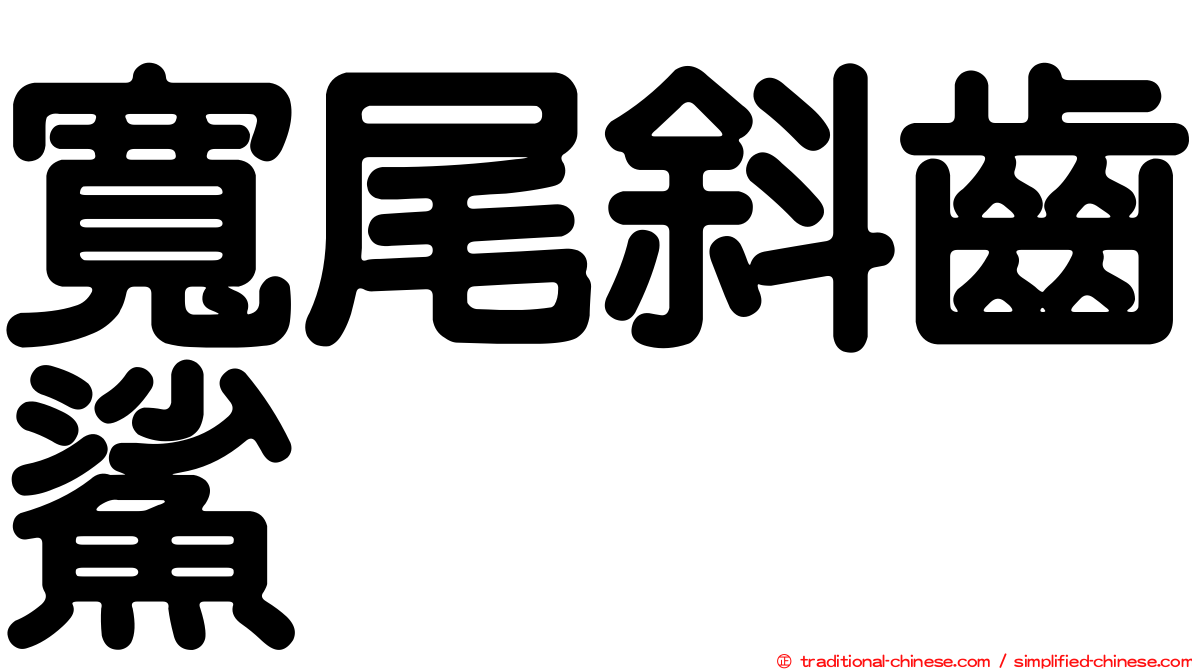 寬尾斜齒鯊