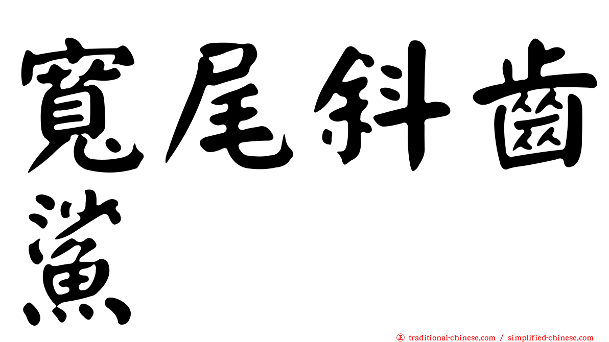 寬尾斜齒鯊