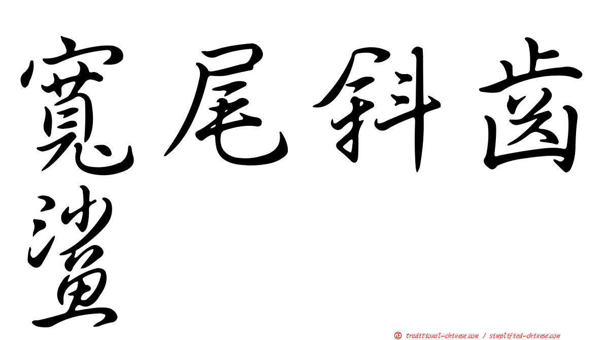 寬尾斜齒鯊
