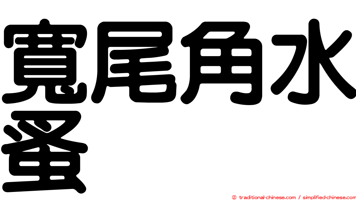 寬尾角水蚤