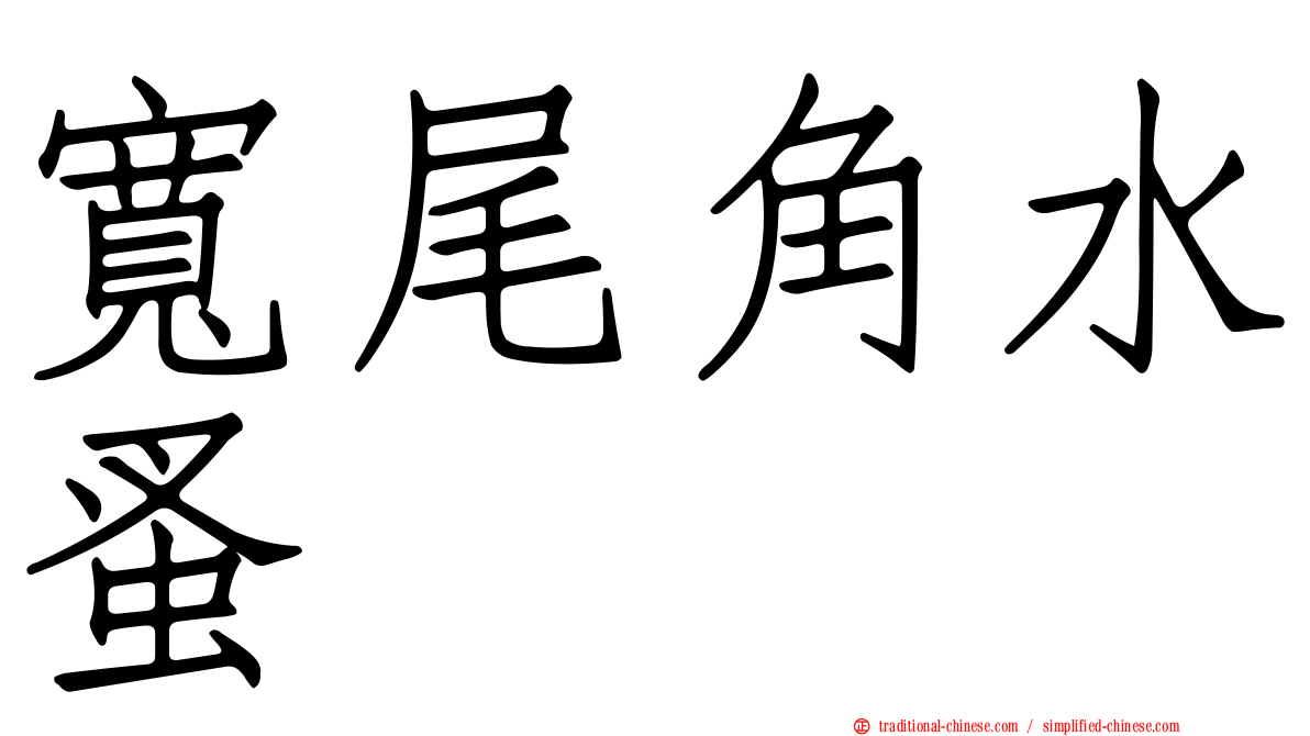 寬尾角水蚤