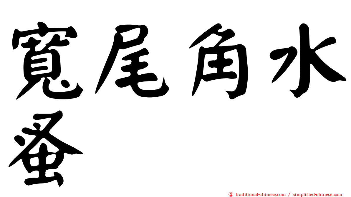 寬尾角水蚤