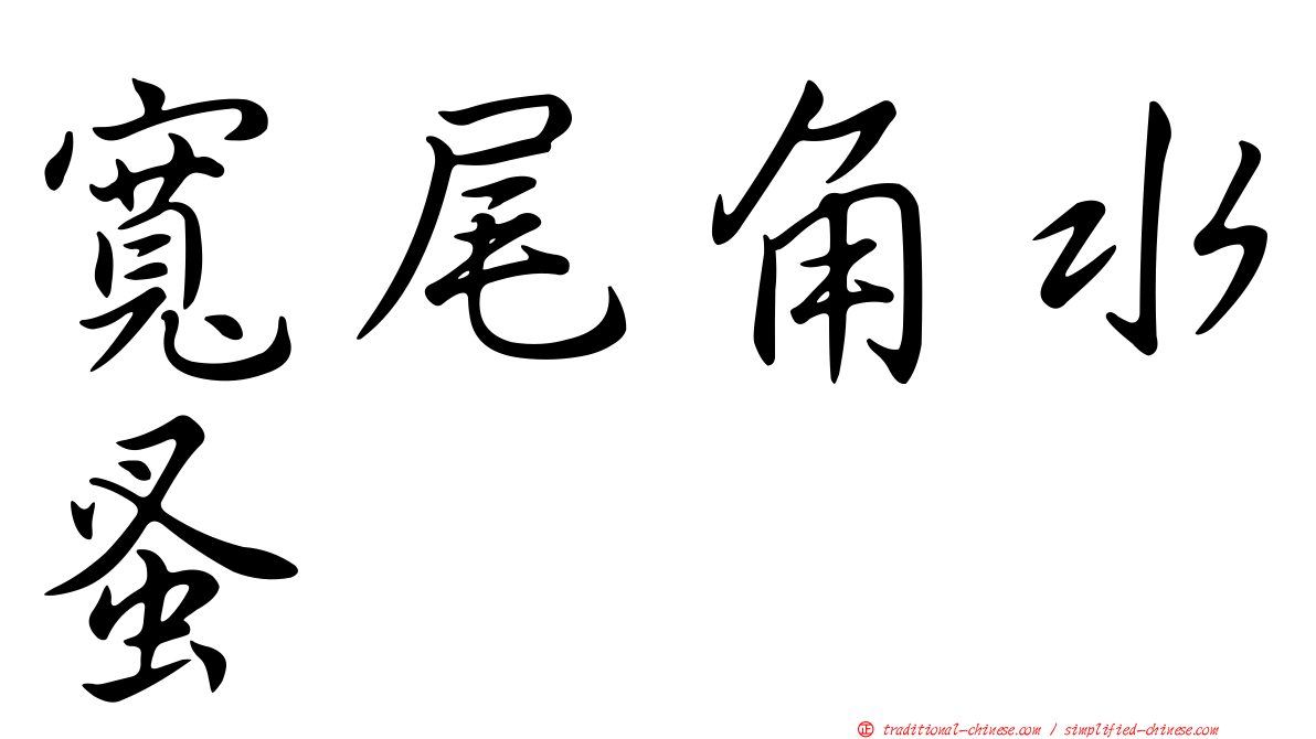 寬尾角水蚤