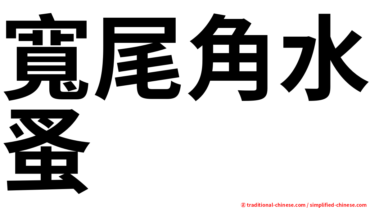 寬尾角水蚤