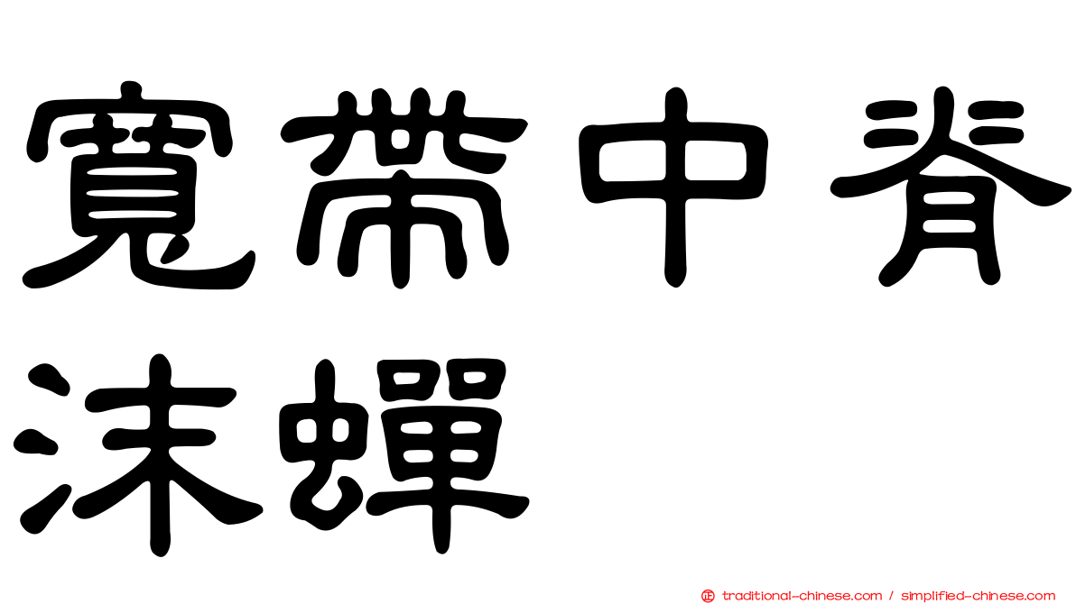寬帶中脊沫蟬