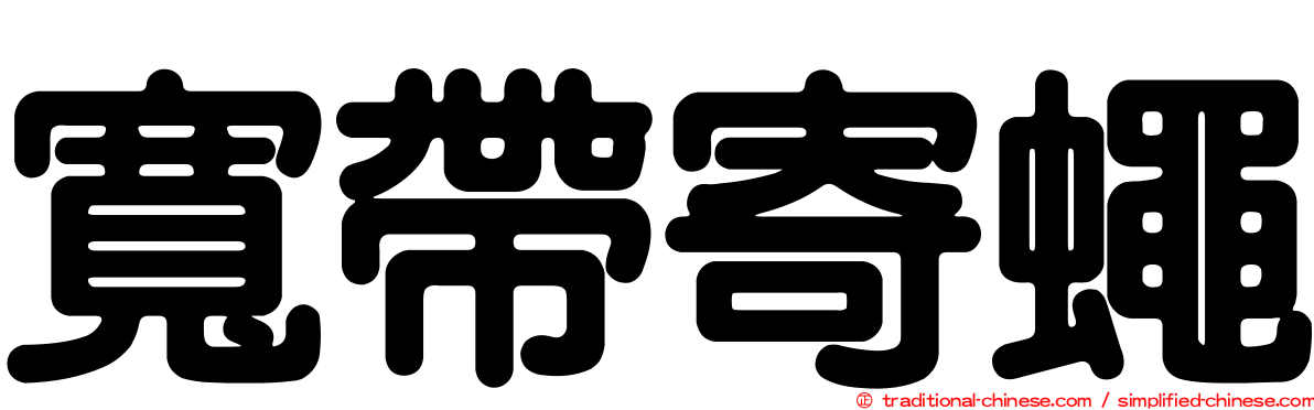 寬帶寄蠅