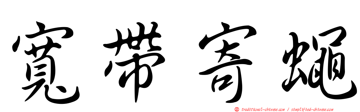 寬帶寄蠅
