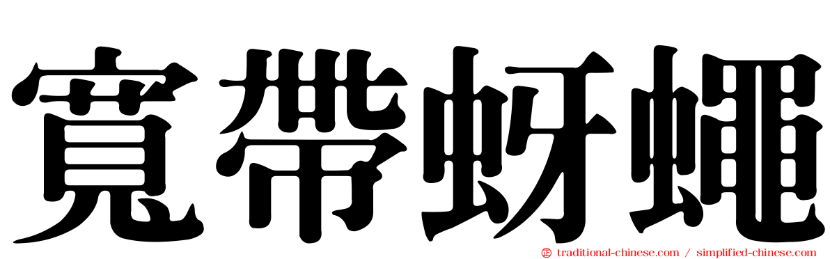 寬帶蚜蠅
