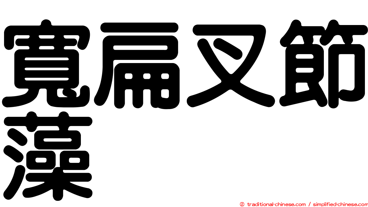 寬扁叉節藻