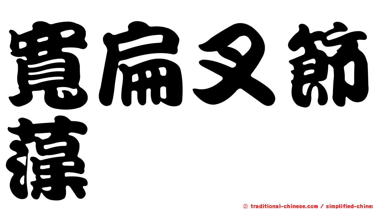 寬扁叉節藻