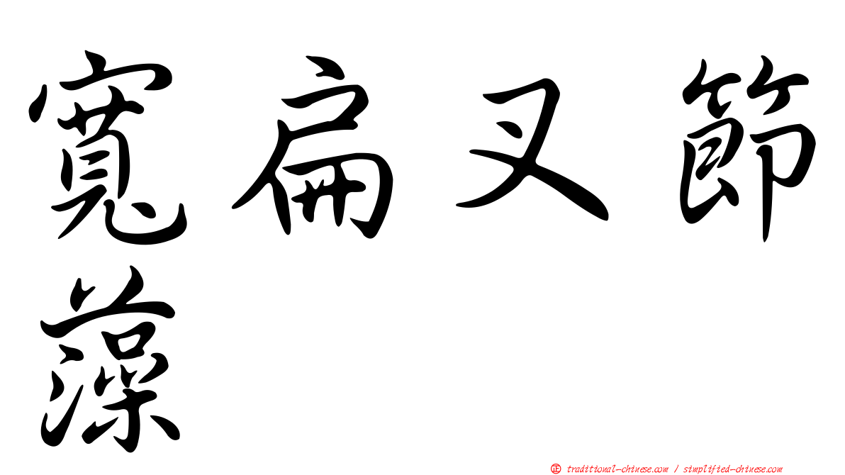 寬扁叉節藻