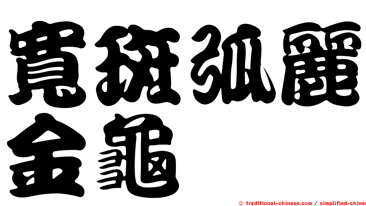 寬斑弧麗金龜