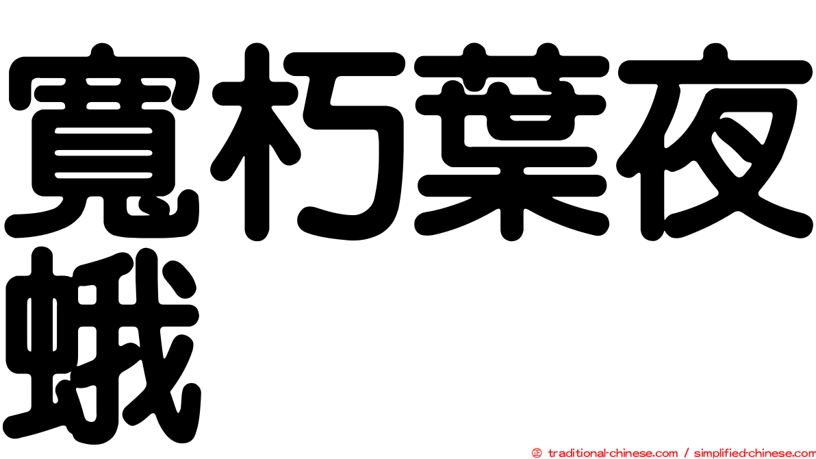 寬朽葉夜蛾