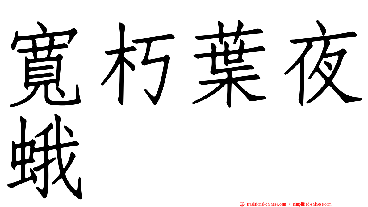 寬朽葉夜蛾