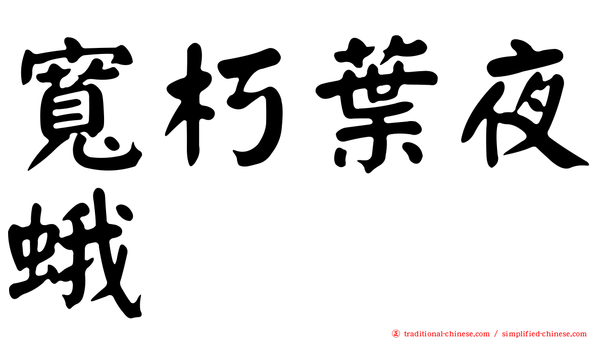 寬朽葉夜蛾