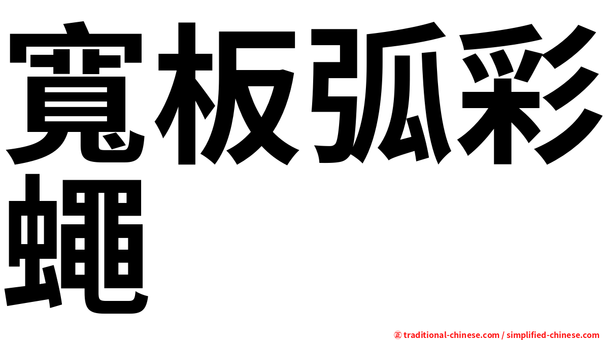 寬板弧彩蠅