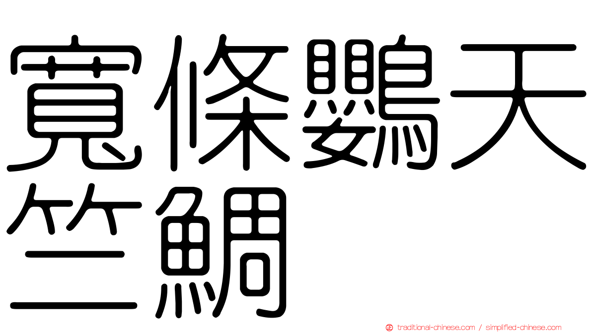 寬條鸚天竺鯛