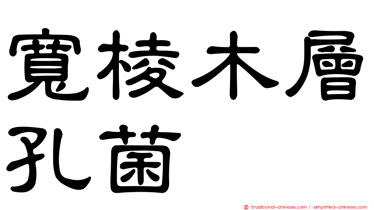 寬棱木層孔菌