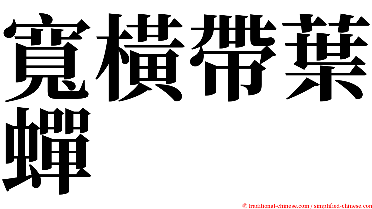 寬橫帶葉蟬 serif font