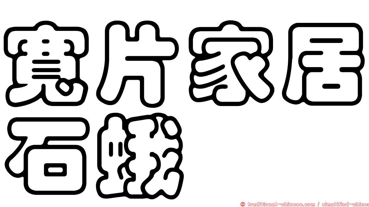 寬片家居石蛾