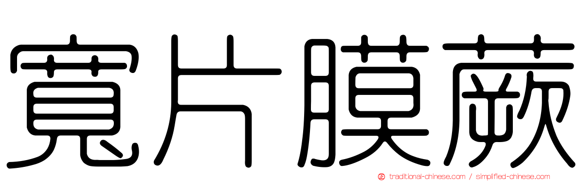 寬片膜蕨