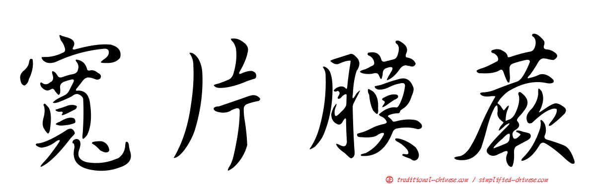 寬片膜蕨