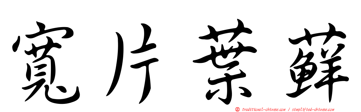 寬片葉蘚