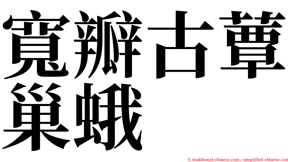 寬瓣古蕈巢蛾 serif font