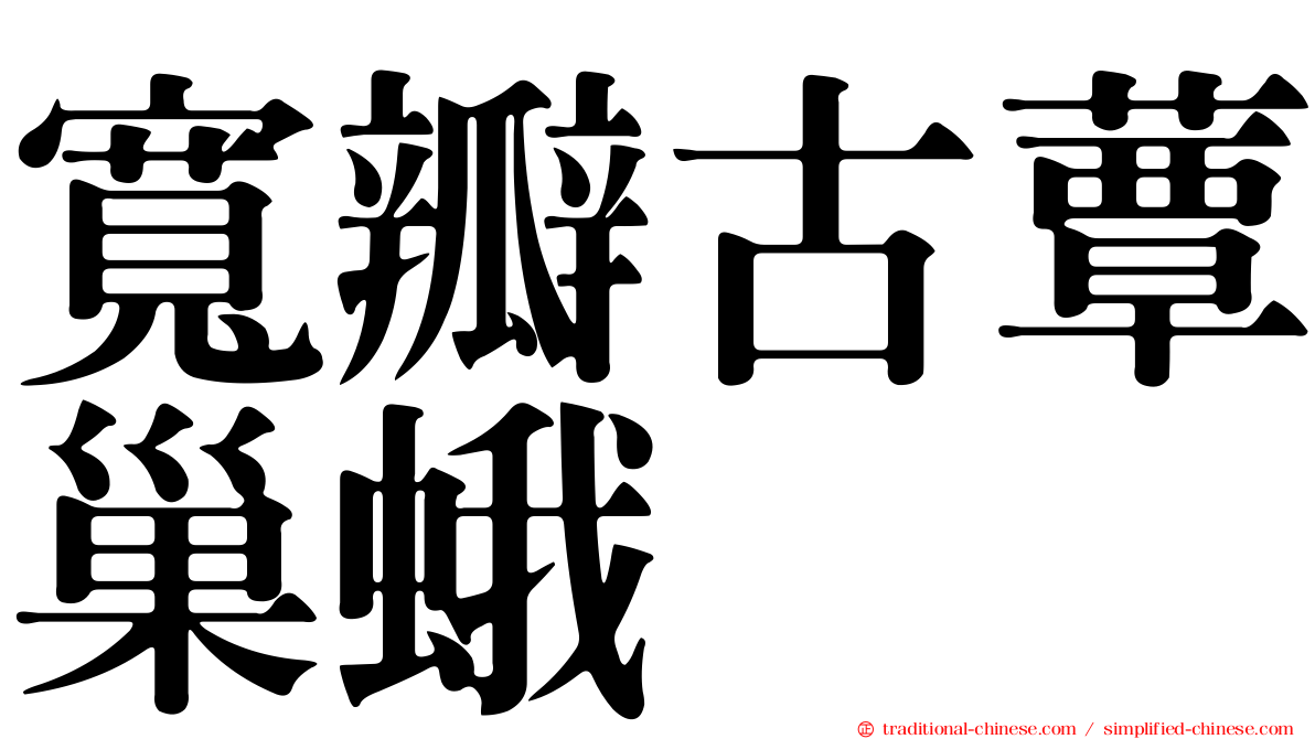 寬瓣古蕈巢蛾