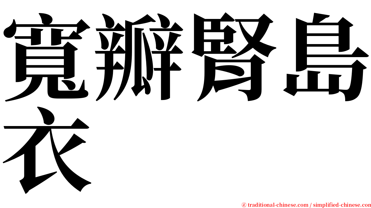 寬瓣腎島衣 serif font