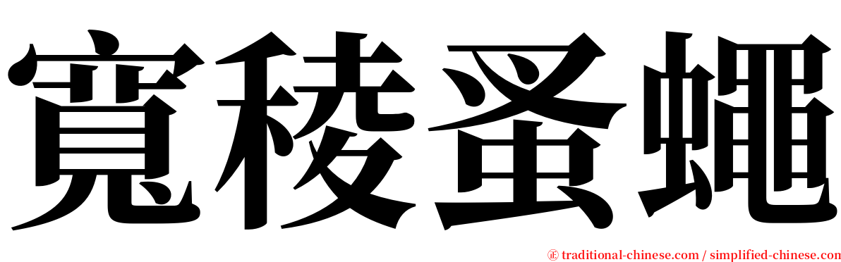 寬稜蚤蠅 serif font