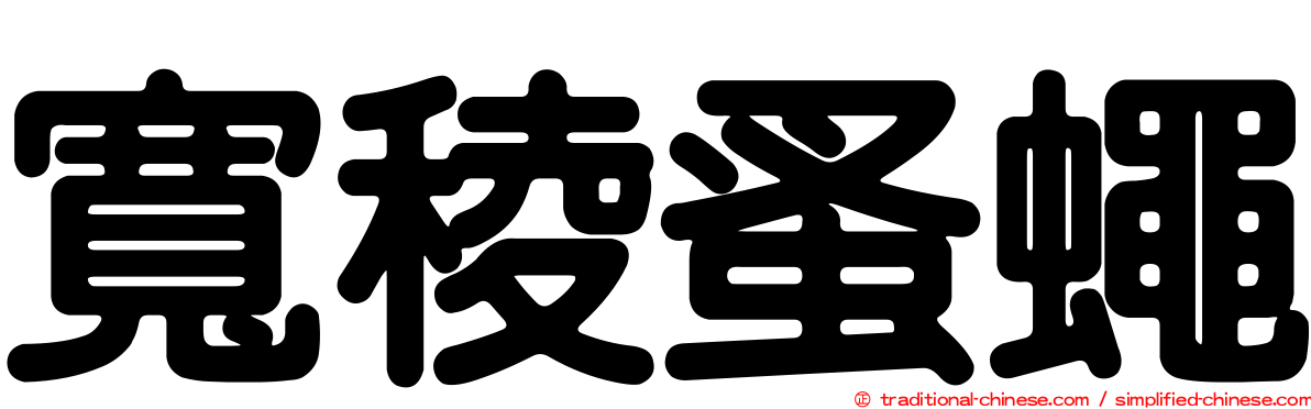寬稜蚤蠅