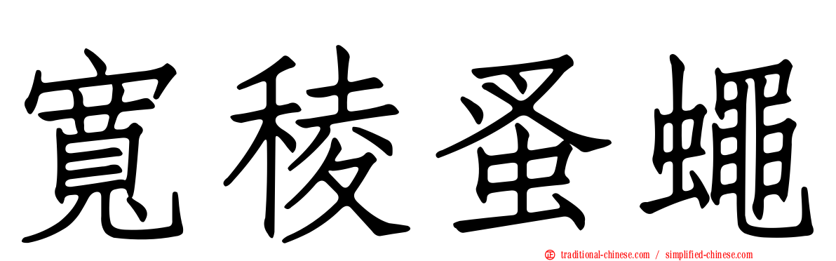 寬稜蚤蠅
