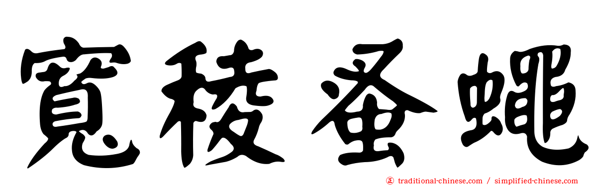 寬稜蚤蠅