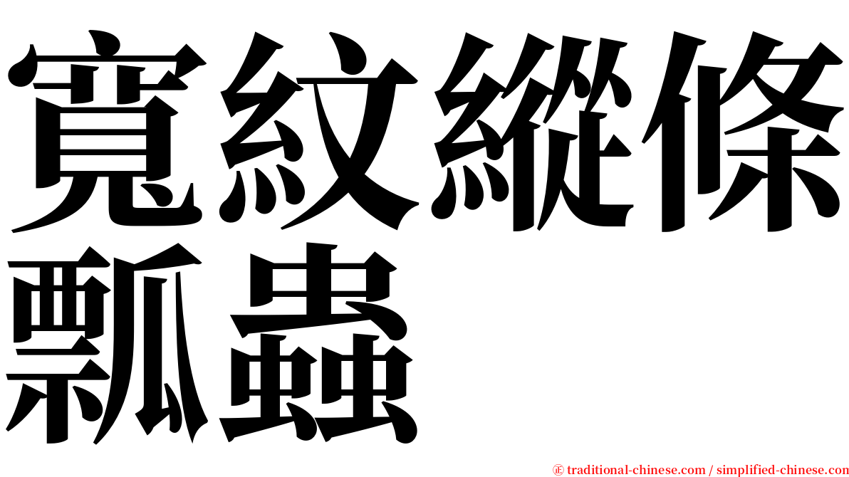 寬紋縱條瓢蟲 serif font
