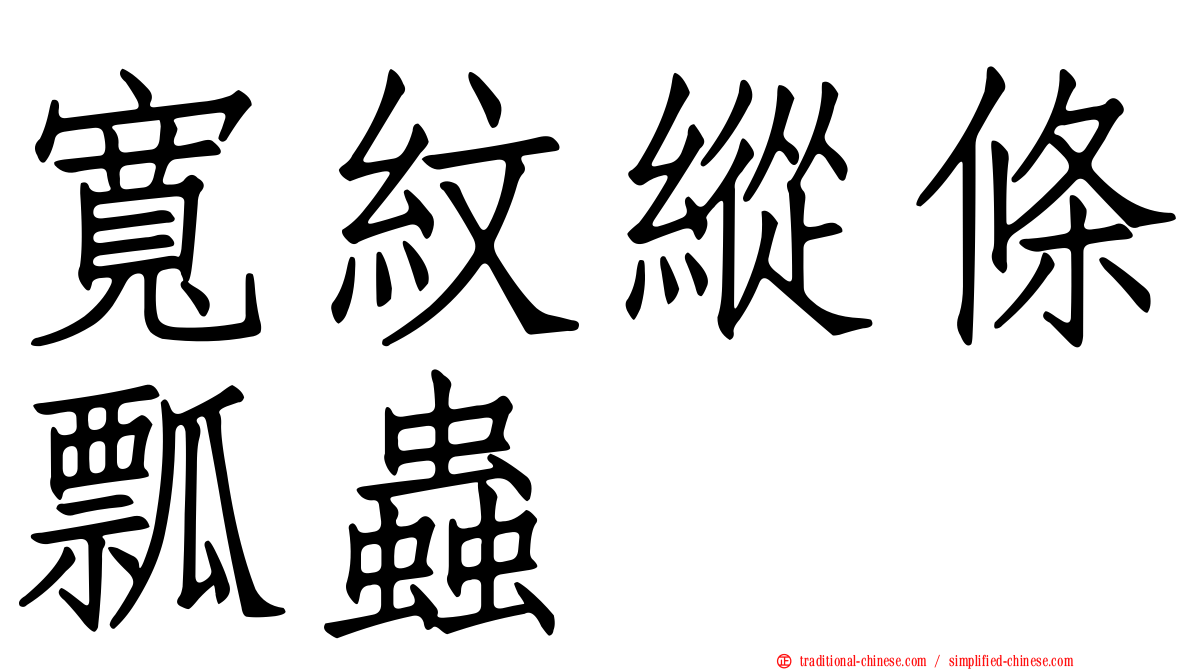寬紋縱條瓢蟲