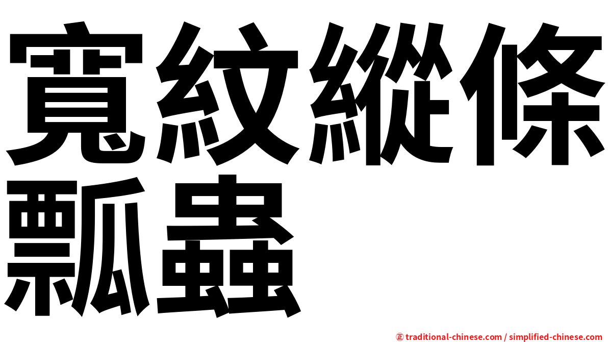 寬紋縱條瓢蟲