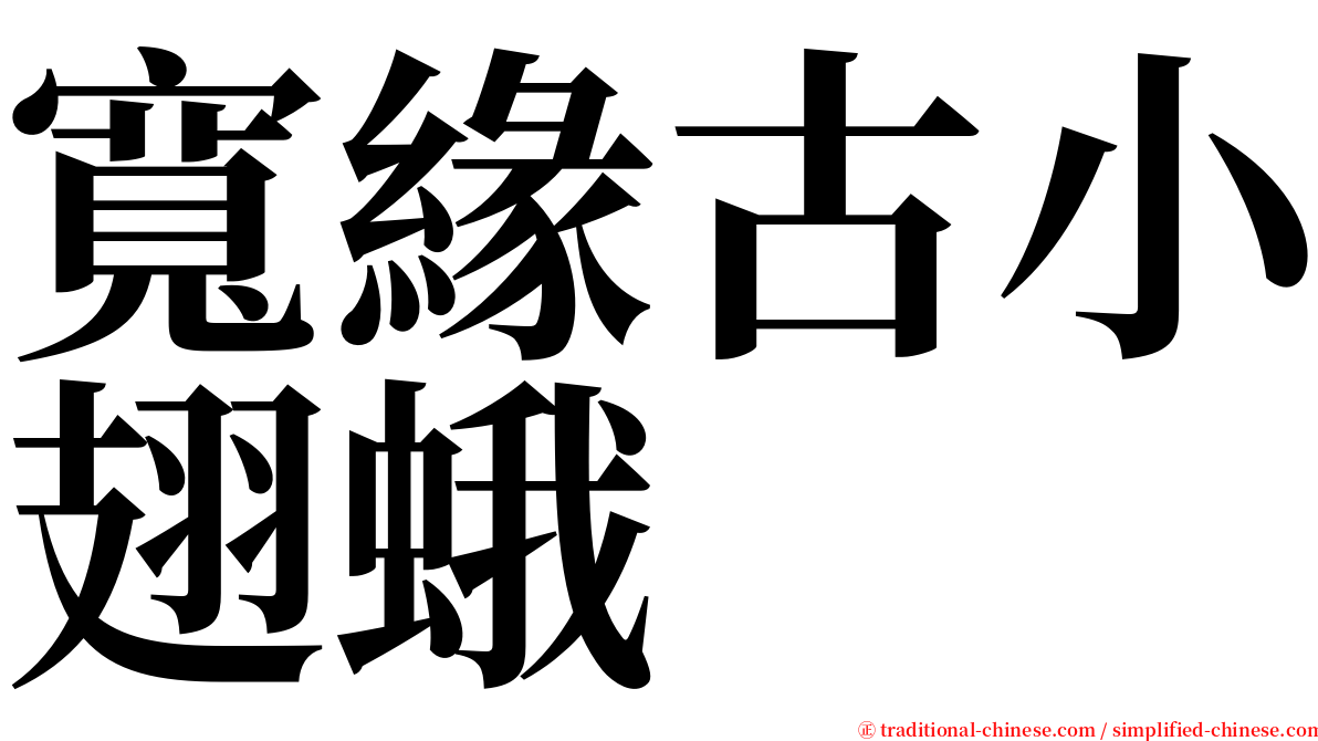 寬緣古小翅蛾 serif font