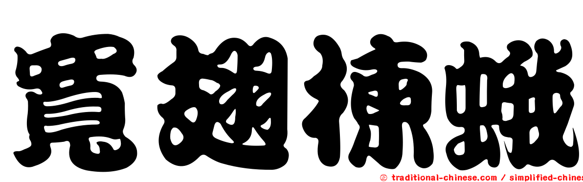 寬翅楝蛾