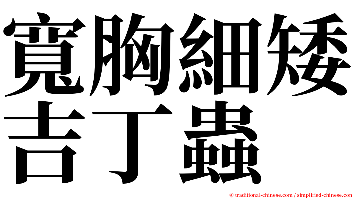 寬胸細矮吉丁蟲 serif font