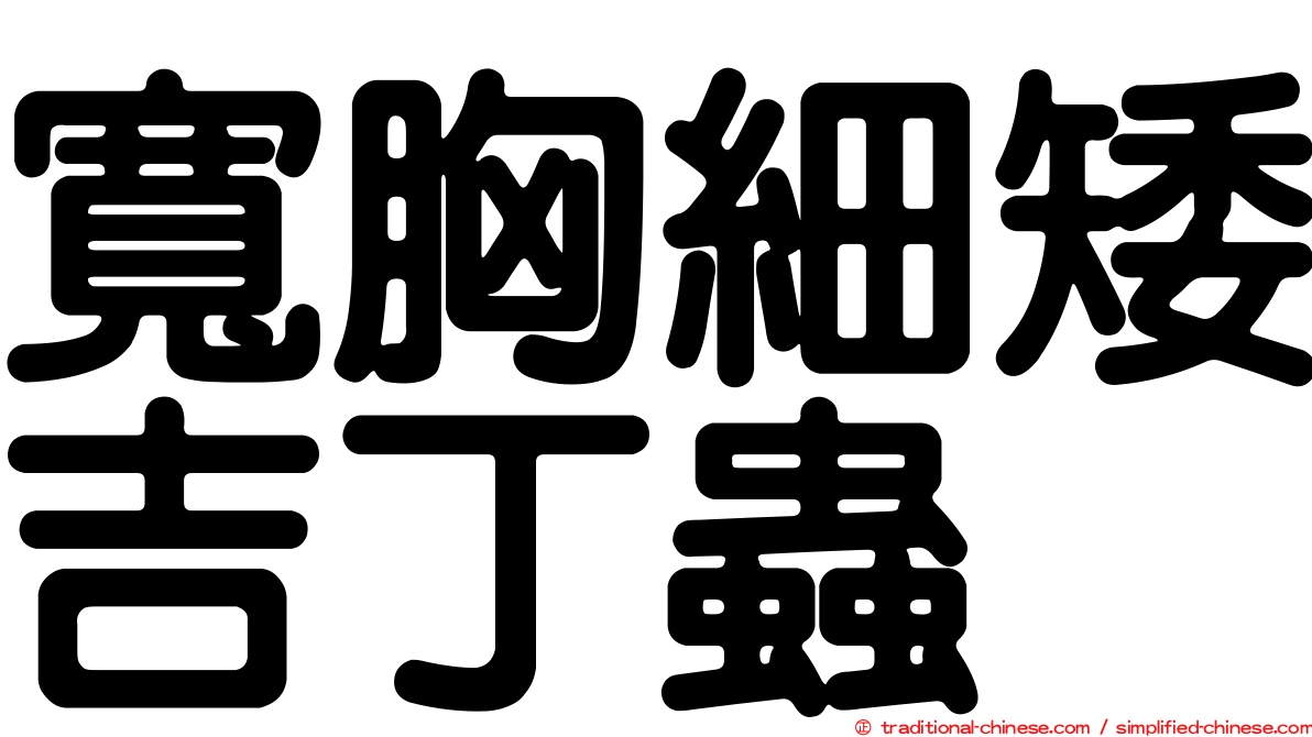 寬胸細矮吉丁蟲